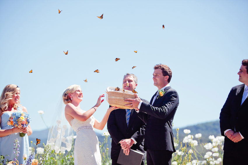 Butterfly release at wedding ceremony
