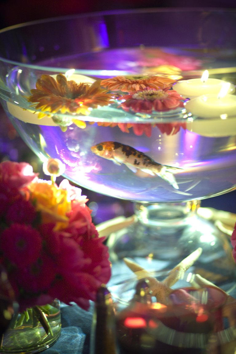 Floating Candle Fish Bowl