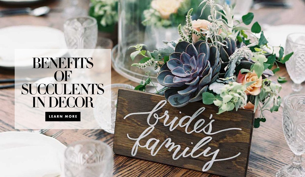 The Benefits of Using Succulents in Dcor