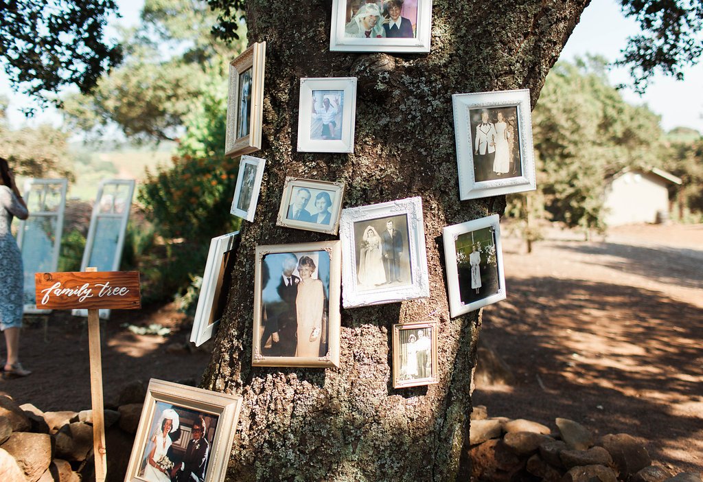 How to Include Family Photos in Your Wedding Décor