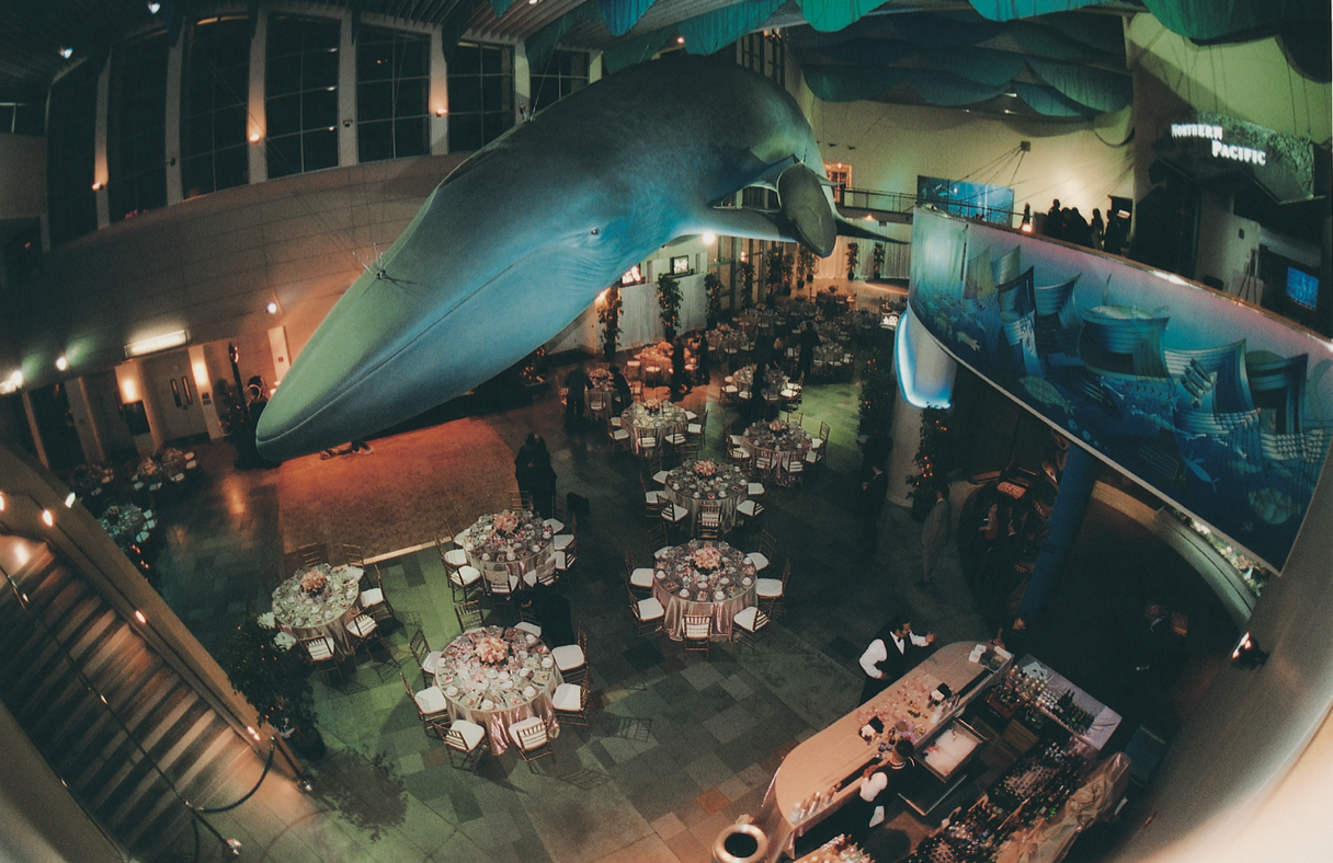Aquarium Reception Venue