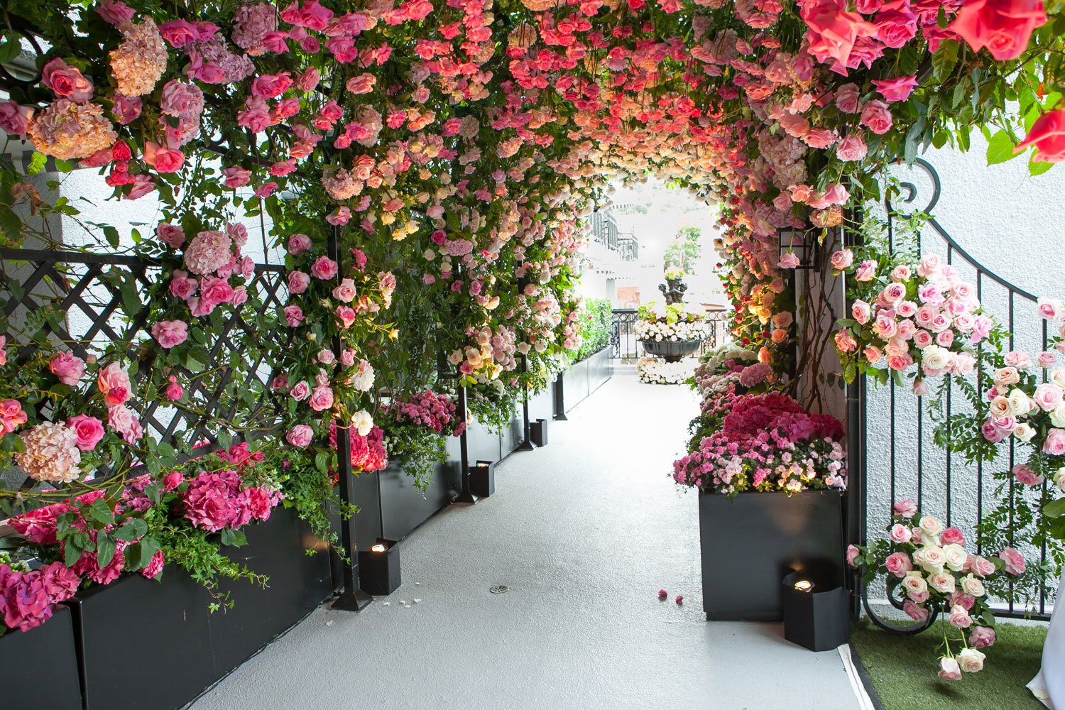 Tunnel of Pink Roses to Ceremony