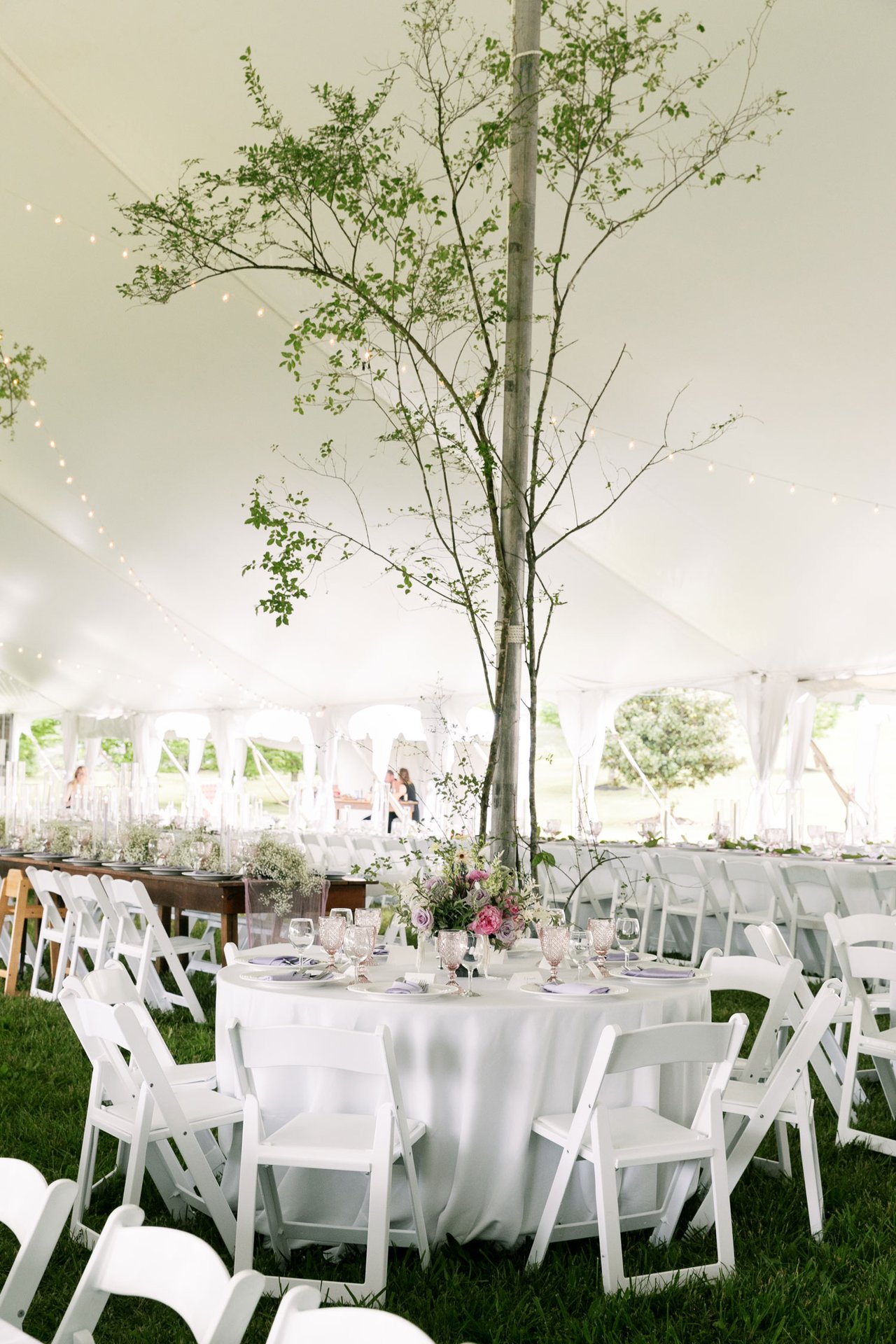 Backyard Tent Wedding Reception