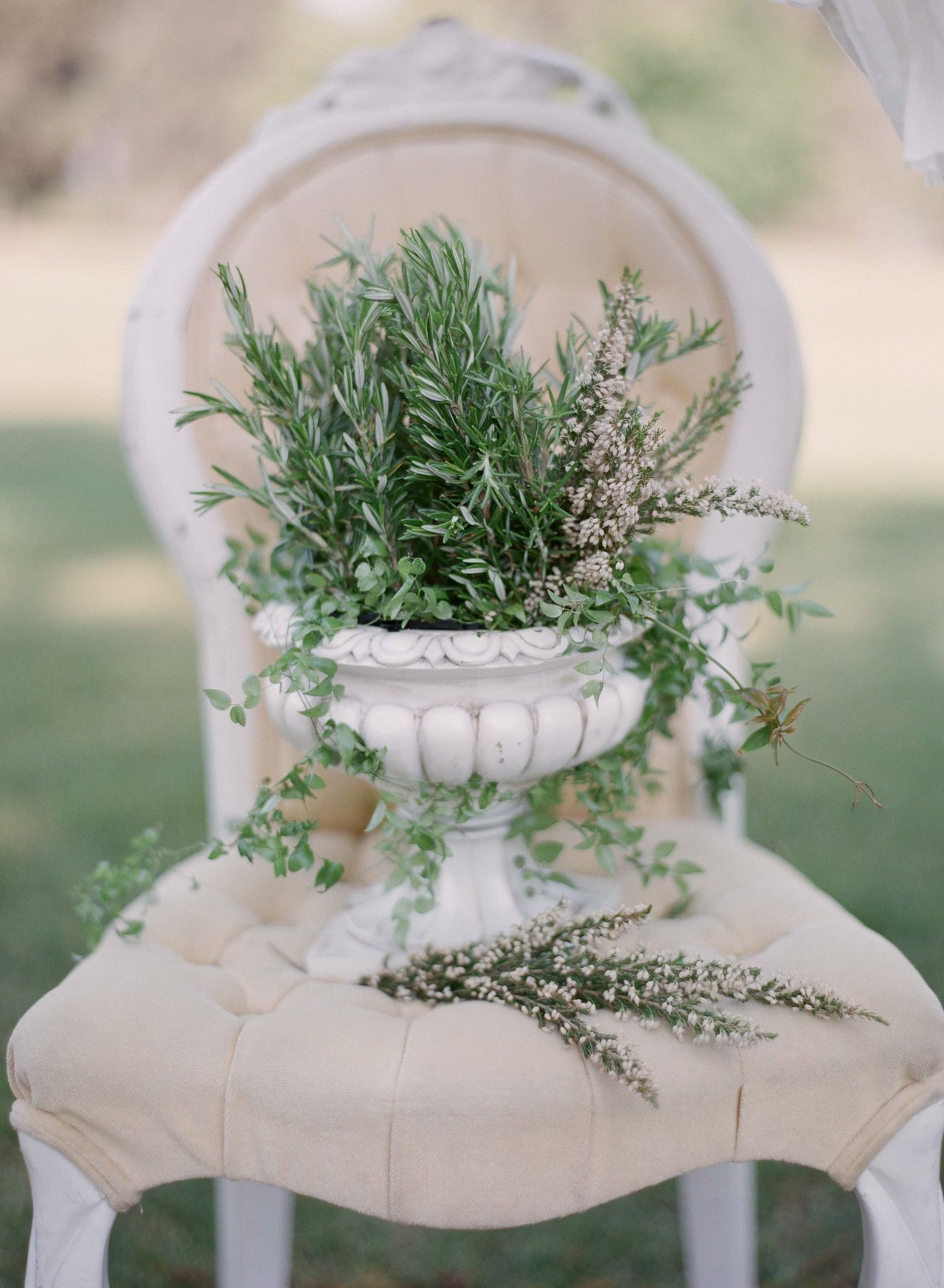 Potted Herbs & Greenery