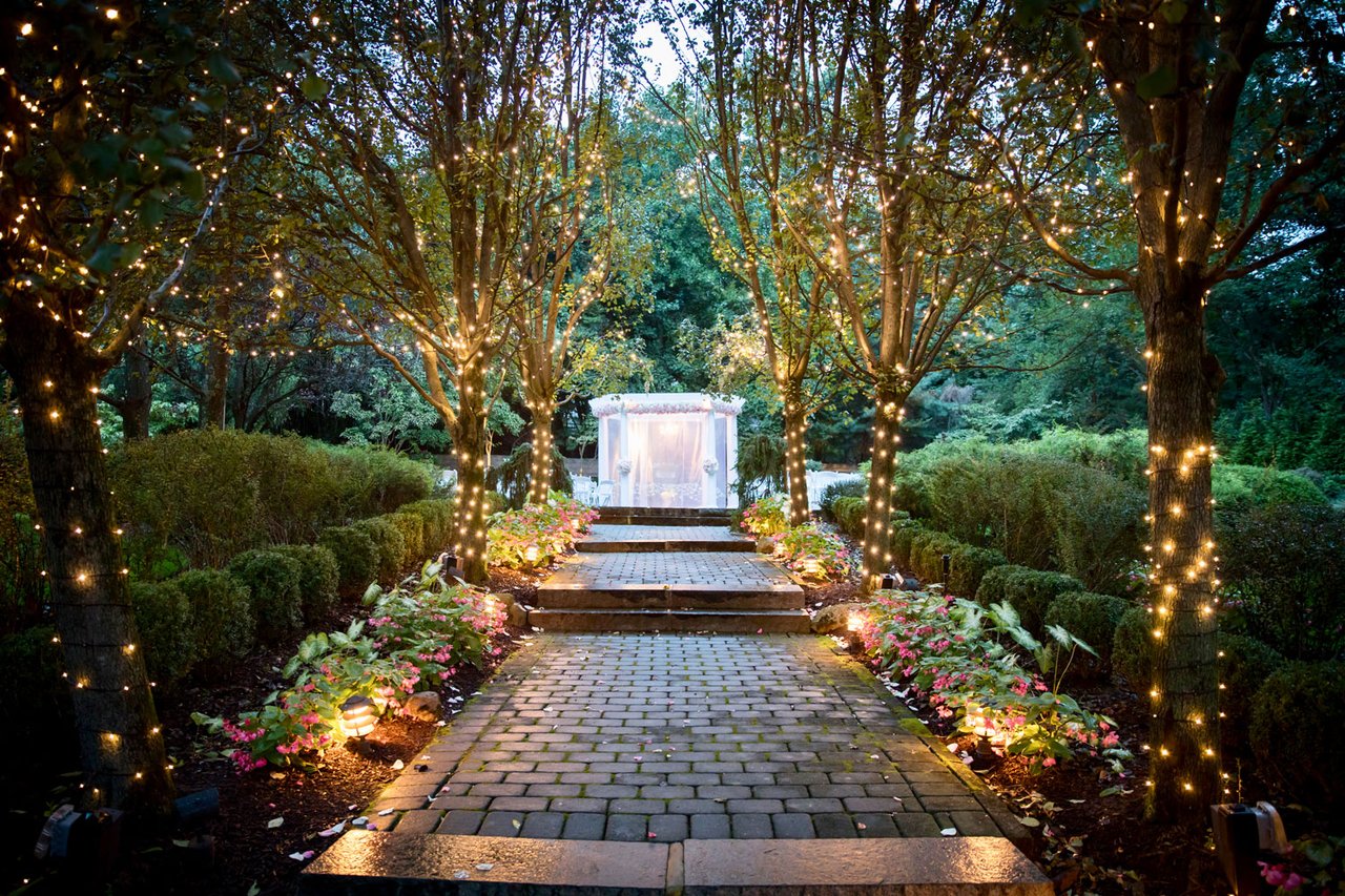 String Lights on Trees at Ceremony Site