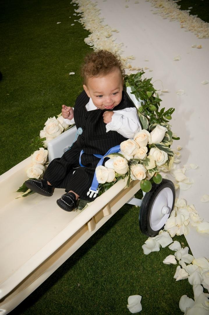 baby ring bearer wagon