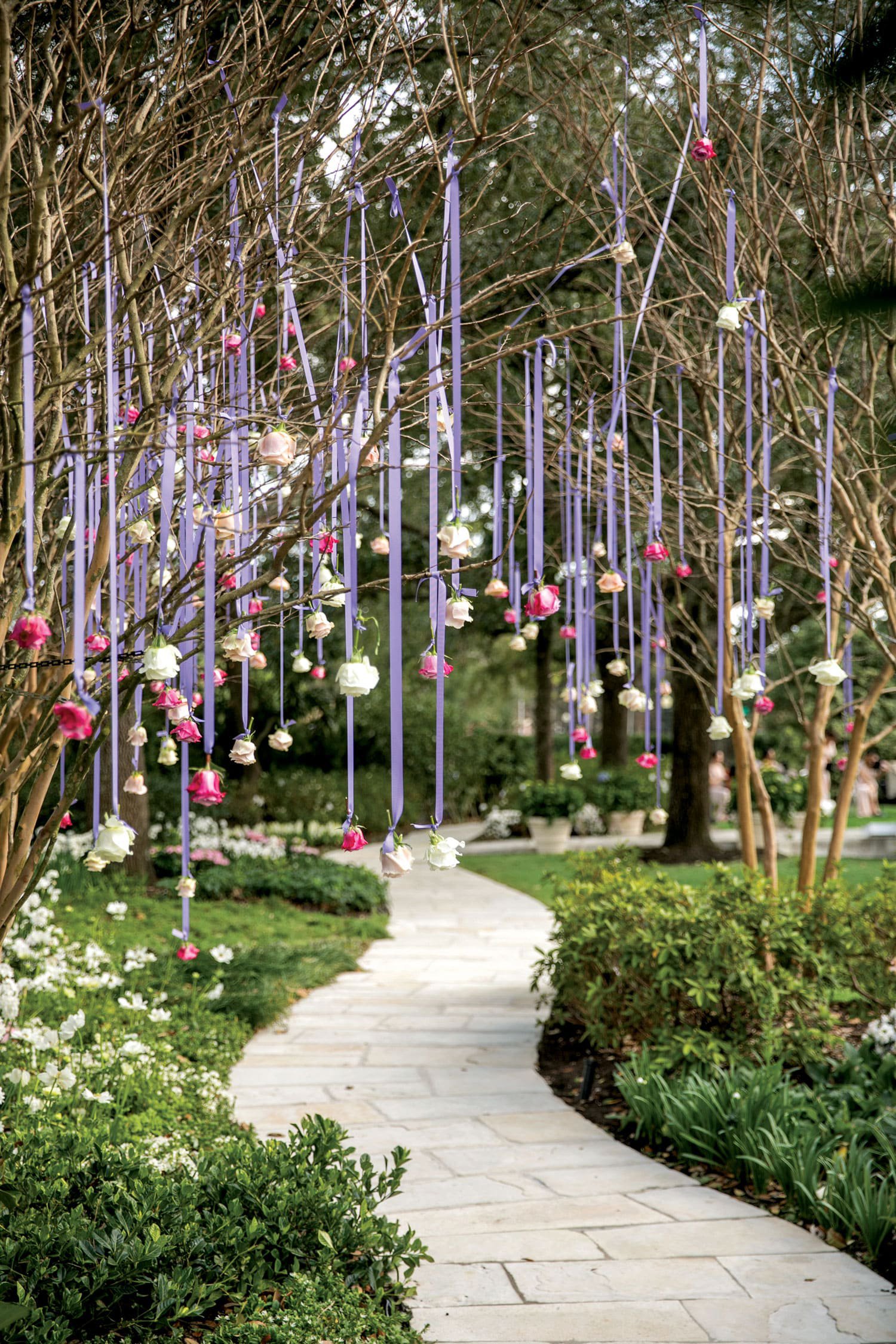 Roses Hanging from Tree in Pathway