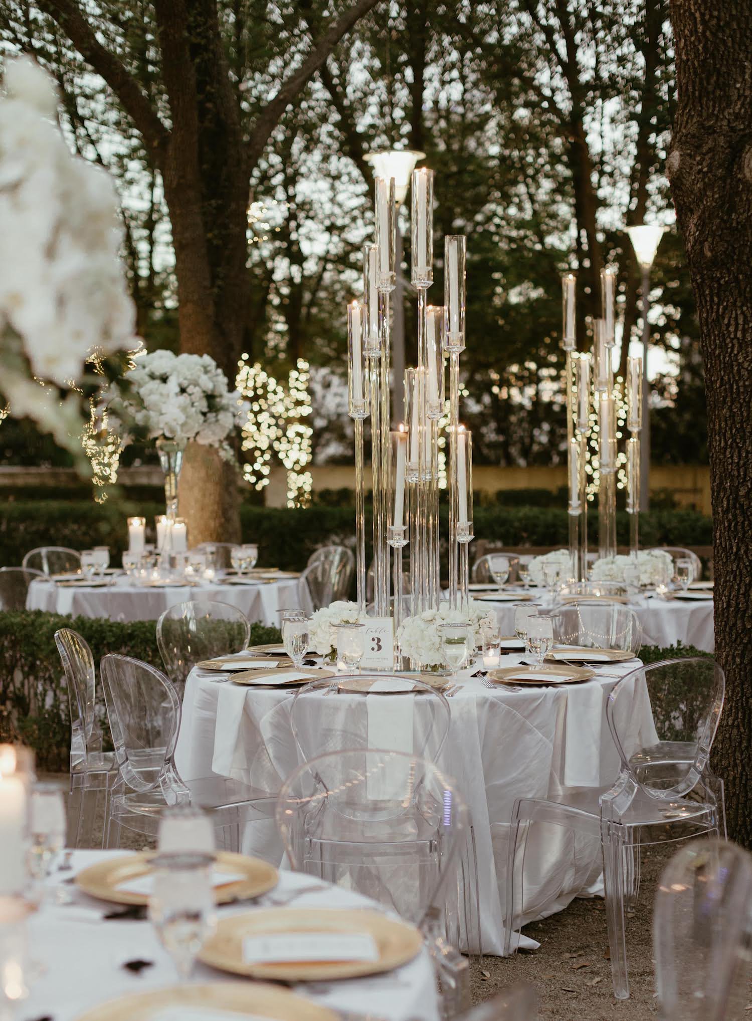 Outdoor Wedding with Twinkle Lights