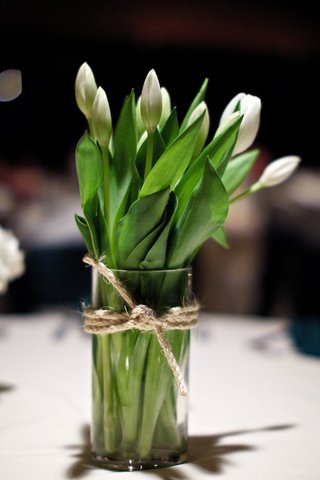 Rustic Tulip Centerpiece white-tulips-with-green-leaves-in-vase-tied-with-rope