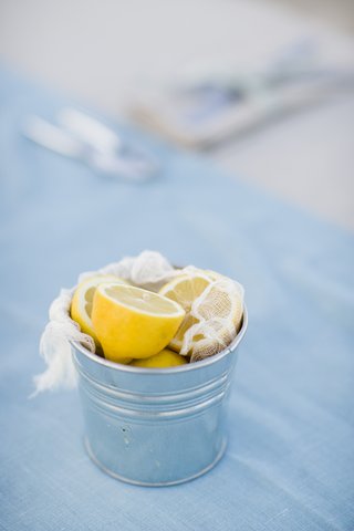 Pail of Lemons cut-lemons-in-a-bucket