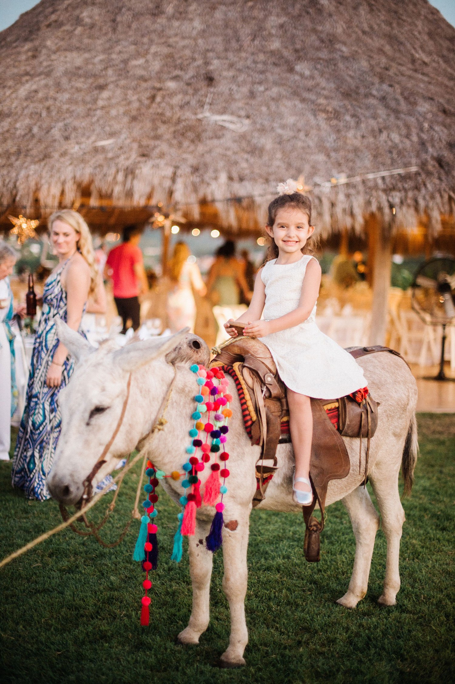 Donkey Rides At Rehearsal Dinner