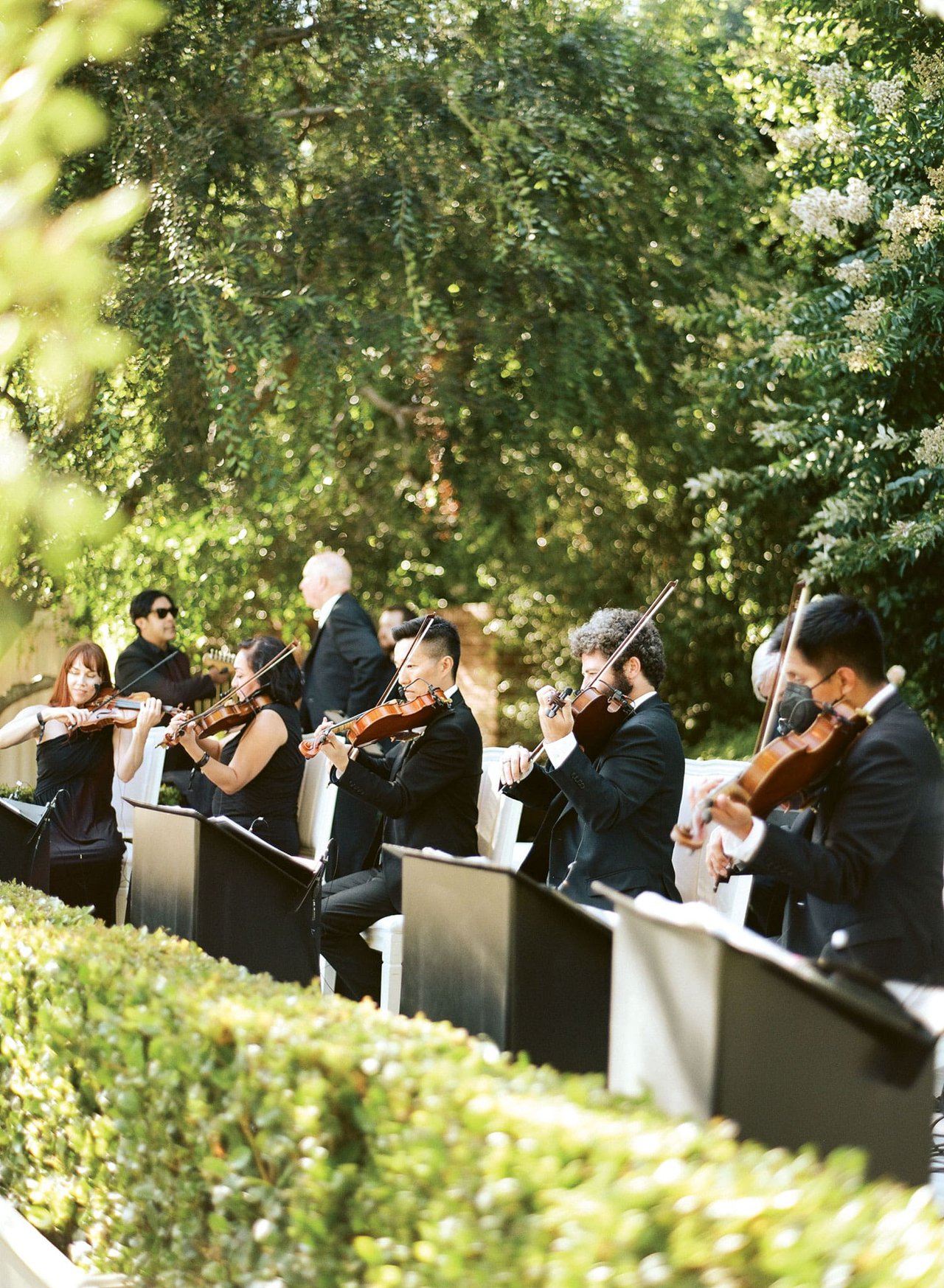 String Musicians at Garden Wedding Ceremony
