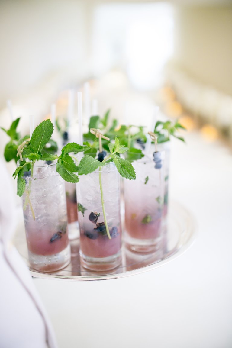 Blueberry & Mint Cocktails