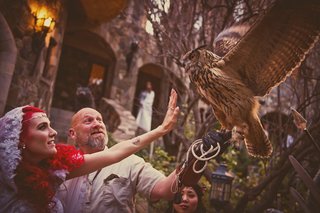 the-falcon-delivers-the-rings