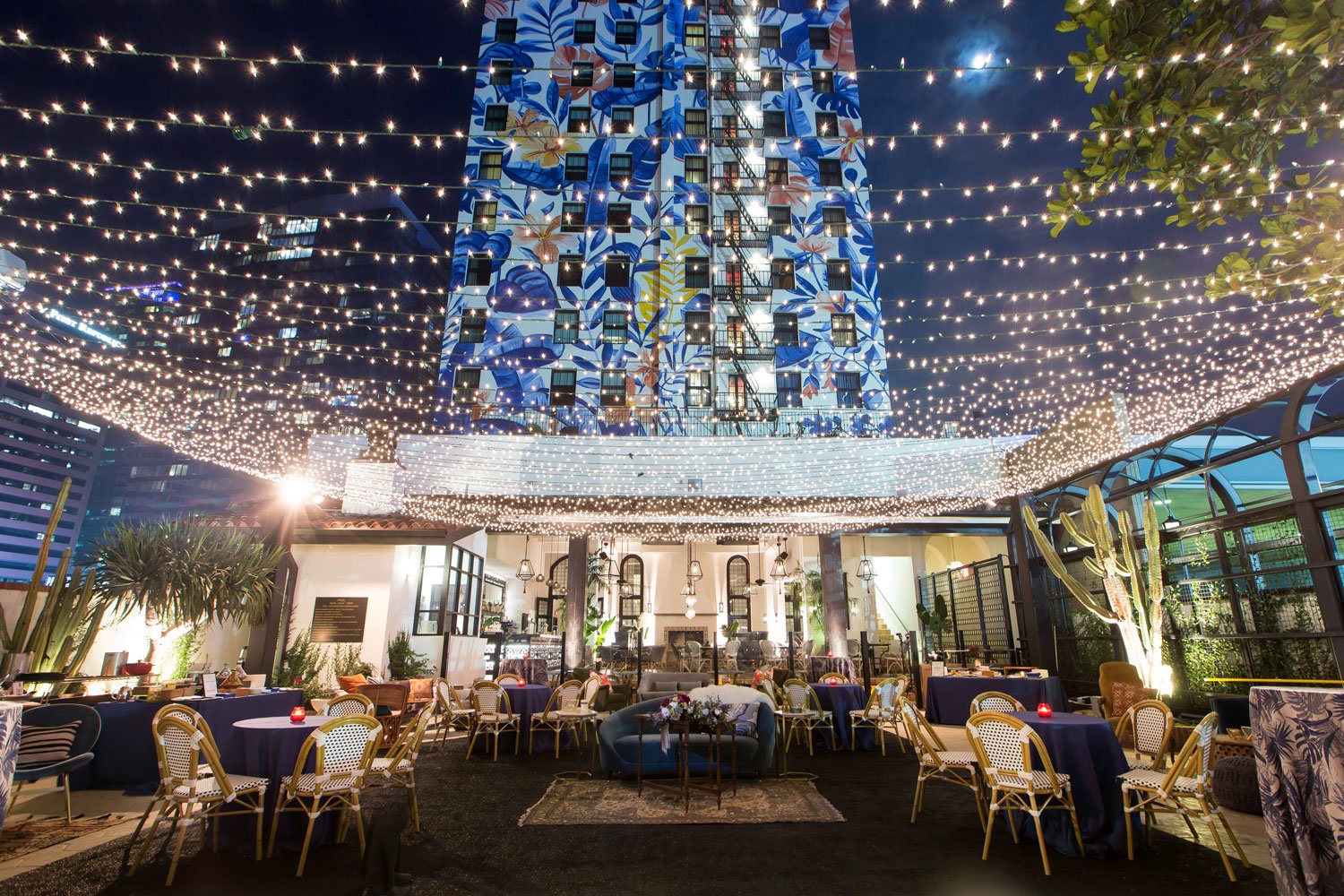 Twinkle Lights Under Night Sky